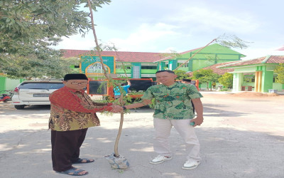 DLH Kab. Sumenep Serahkan Bantuan Pohon Flamboyan ke MIN 2 Sumenep
